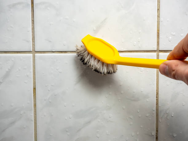 Best Professional Mold Removal  in Spokane Valley, WA