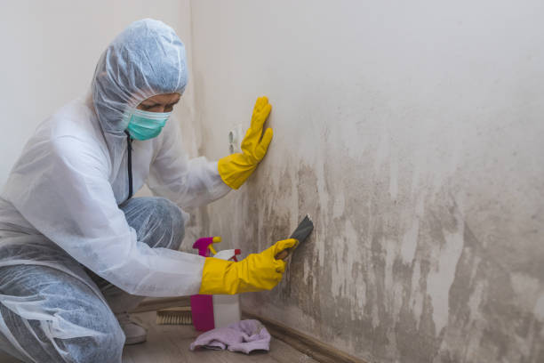 Best Mold Testing  in Spokane Valley, WA