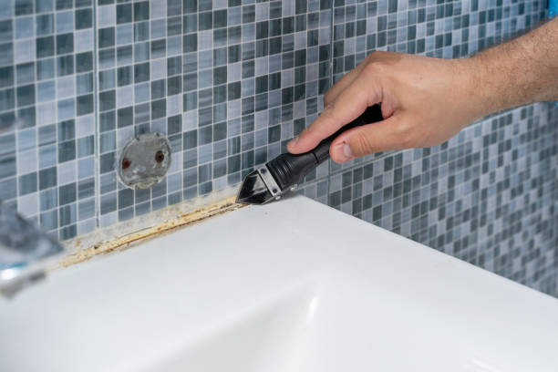 Best Toxic Mold Removal  in Spokane Valley, WA