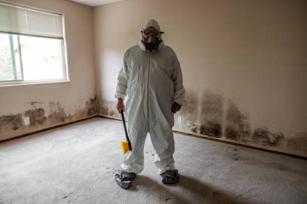 Best Crawl Space Mold Removal  in Spokane Valley, WA
